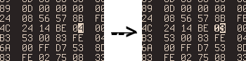 Changing the bytes